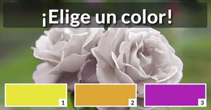 ¿Qué flor eres?