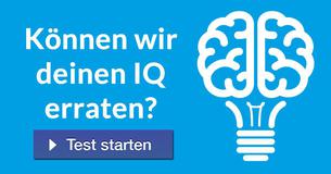 Können wir Deinen IQ erraten?
