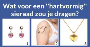Waaruit bestaat je hart?