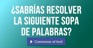 ¿Sabrías resolver la siguiente sopa de palabras? 