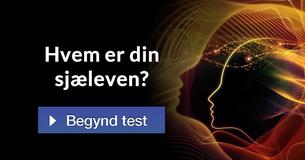 Hvem er din sjæleven?