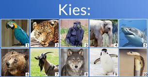 Welk dierencombinatie ben jij?