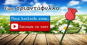 Ποιο λουλούδι είσαι; 