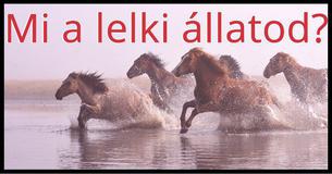 Mi a lelki állatod?