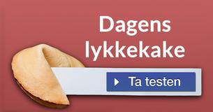 Dagens lykkekake