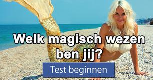 Welk magisch wezen ben jij?
