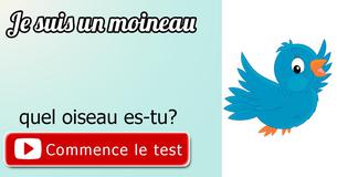 Quel oiseau es-tu?