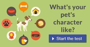What's Your Pet's Character Like?
