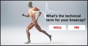 How Good Is Your Anatomy Knowledge? Can You Get 7/7?