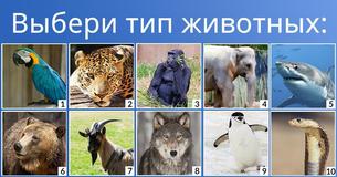 Смесью каких животных ты являешься?