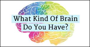 What Kind Of Brain Do You Have?