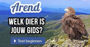 Welk dier is jouw gids?