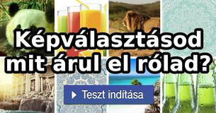 Képválasztásod mit árul el rólad?
