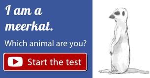What animal are you?