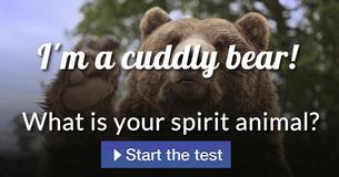 What is your spirit animal?