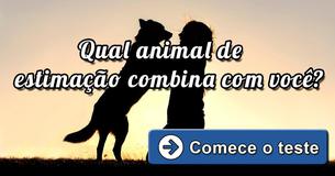 Qual bicho de estimação combina com você?