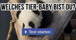 Welches Tier-Baby bist du?