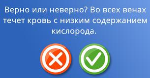 Сможешь ли Ты ответить на основополагающие вопросы по анатомии человека? 