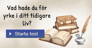 Vad hade du för yrke i ditt tidigare liv?
