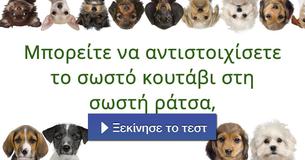 Μπορείτε να αντιστοιχίσετε το σωστό κουτάβι στη σωστή ράτσα,