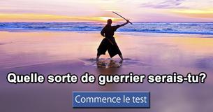Quelle sorte de guerrier serais-tu?