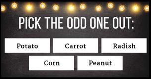Can You Get 100% On This Unique IQ Exam?