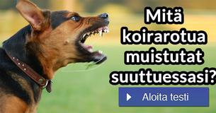 Mitä koirarotua muistutat suuttuessasi?