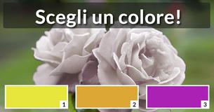 Che fiore sei?