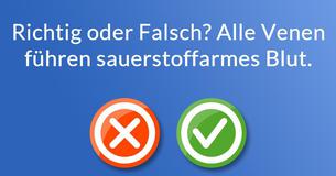 Kannst Du die grundlegenden Fragen zur menschlichen Anatomie beantworten?
