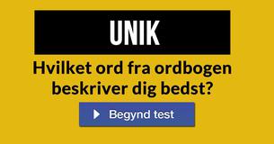 Hvilket ord fra ordbogen beskriver dig bedst?