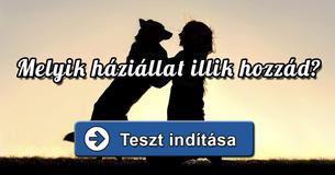 Melyik háziállat illik hozzád?