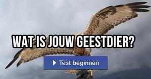 Wat is jouw geestdier?