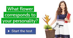 Which flower matches your personality?