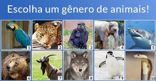 Que mistura de animais você é?