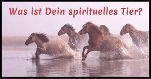 Was ist Dein spirituelles Tier?