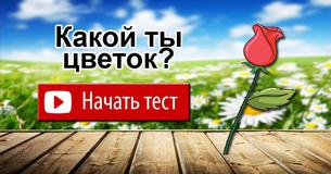 Какой ты цветок?
