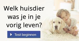 Welk huisdier was je in je vorig leven?