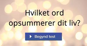 Hvilket ord opsummerer dit liv?