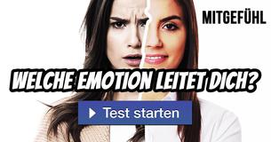 Welche Emotion leitet dich?