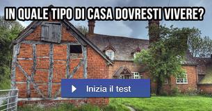 In quale tipo di casa dovresti vivere?