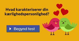 Hvad karakteriserer din kærlighedspersonlighed?