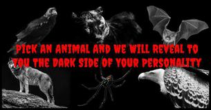 Pick An Animal And We Will Reveal To You The Dark Side Of Your Personality