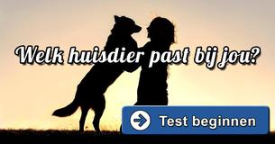 Welk huisdier past bij jou?