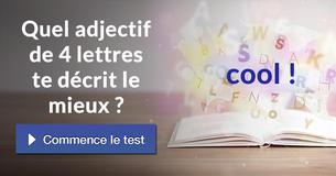 Quel adjectif de 4 lettres te décrit le mieux ?