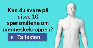 Kan du svare på disse 10 spørsmålene om menneskekroppen?