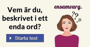 Vem är du, beskrivet i ett enda ord?