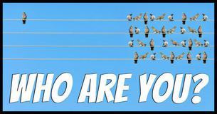 The Ultimate 10 Question Personality Test!