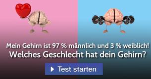Welches Geschlecht hat dein Gehirn?