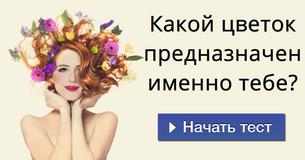 Какой цветок предназначен именно тебе?