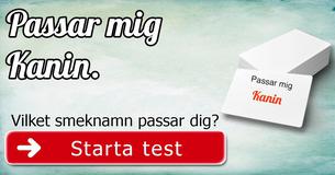 Vilket smeknamn passar dig?